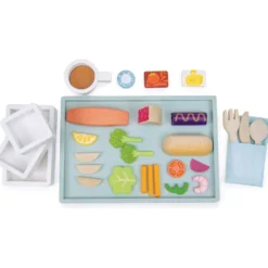 Airline Meal Tray