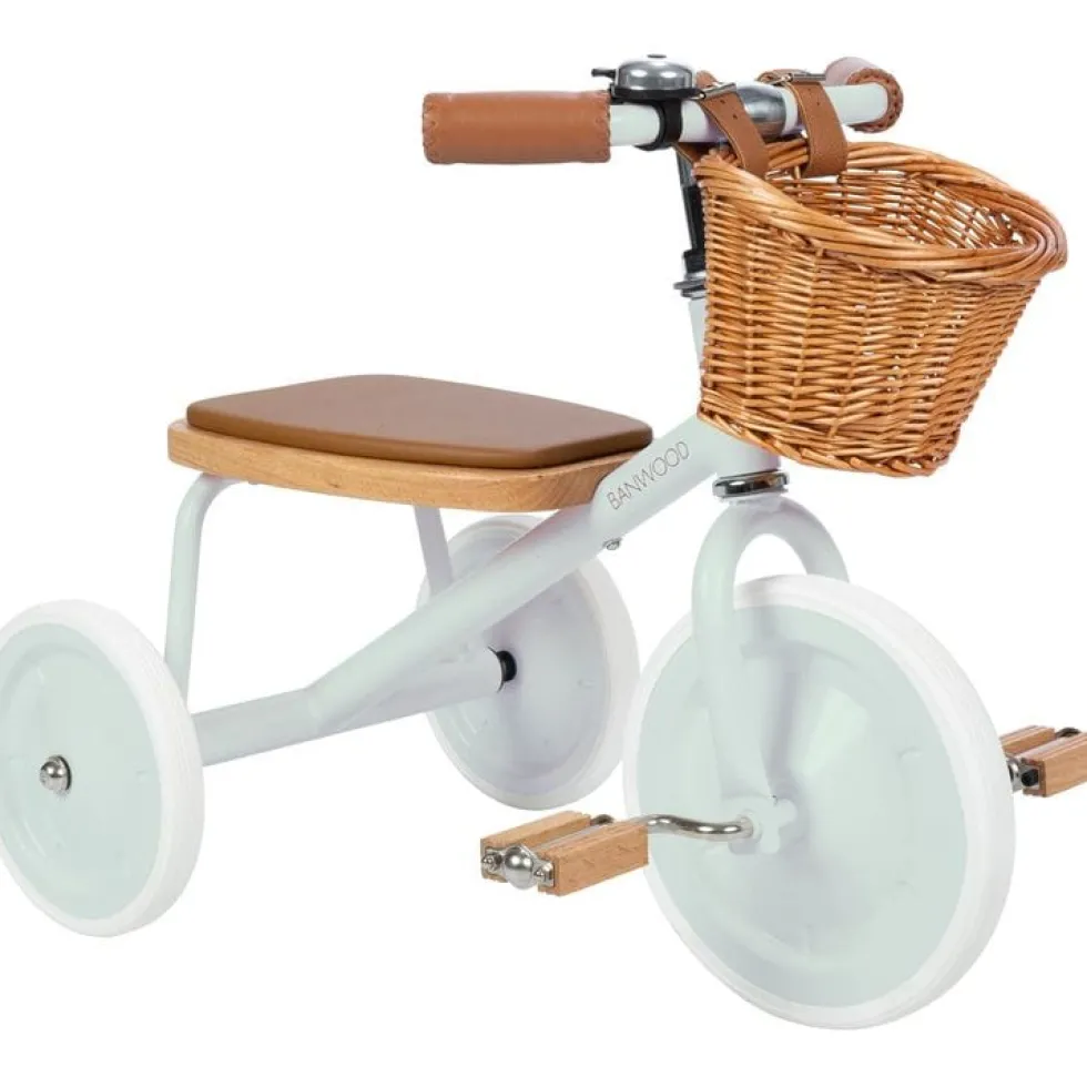 Banwood Trike- Pale Mint