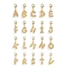 Charm Squad Letter N Charm