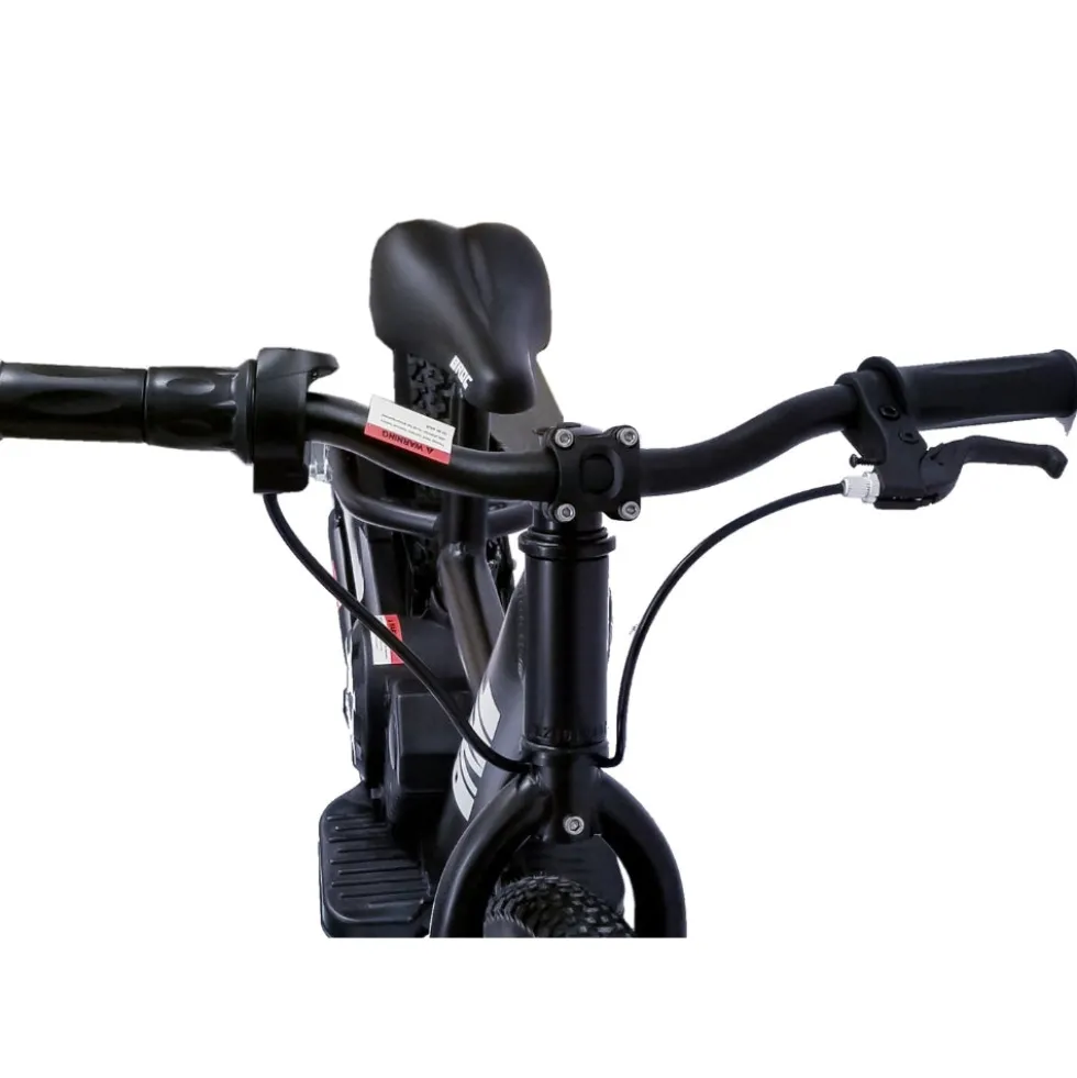 16" Electric Bike - Black