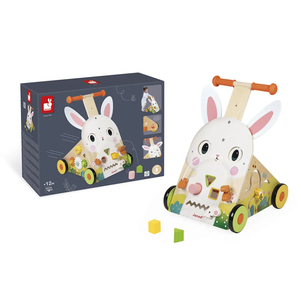 Farm Multi-Activity Baby Walker