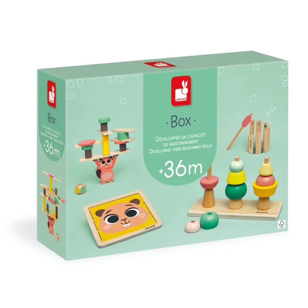 Janod Developmental Activity Box - 36 Months