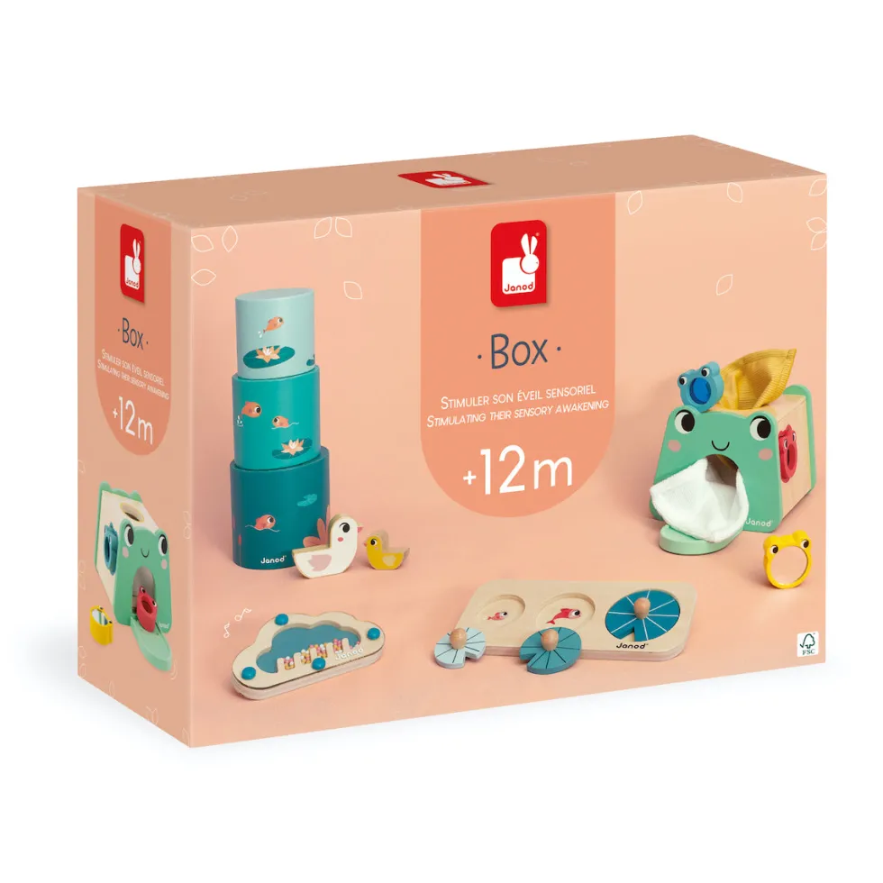 Janod Developmental Activity Box - 12 Months