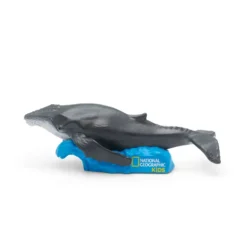 National Geographic Kids: Whale Tonie