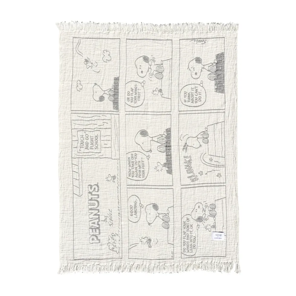 Peanuts Blanket Comic Flightschool