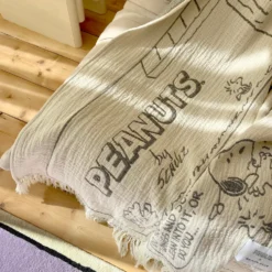 Peanuts Blanket Comic Flightschool