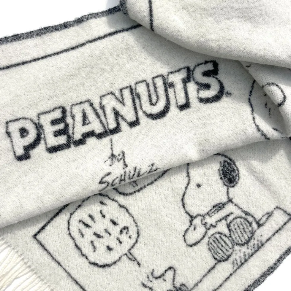 Peanuts Blanket - Doughnut Comic