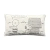 Peanuts Cushion Cover XL - Guard the House