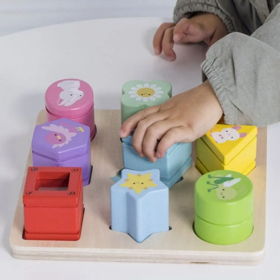 Rainbow Sensory Shape Sorter - 10 Pieces