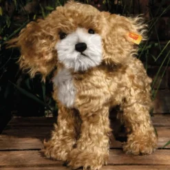 Ricky Cockapoo