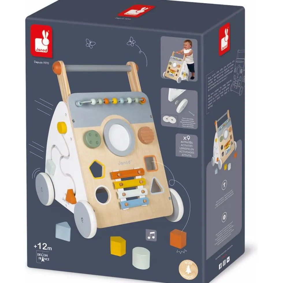 Sweet Cocoon Multi-Activity Walker