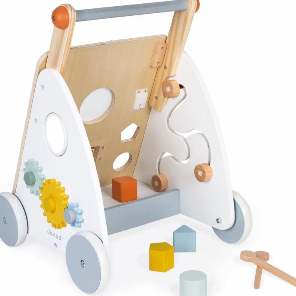 Sweet Cocoon Multi-Activity Walker