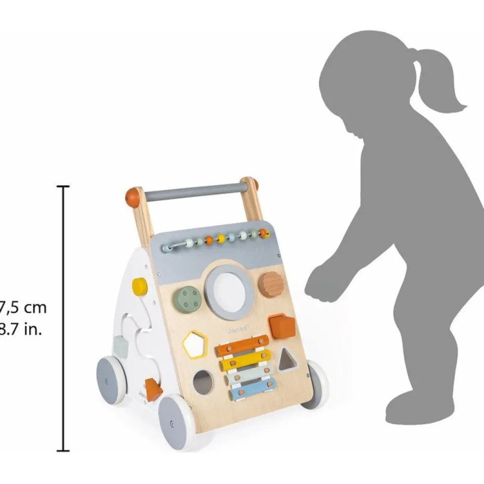 Sweet Cocoon Multi-Activity Walker