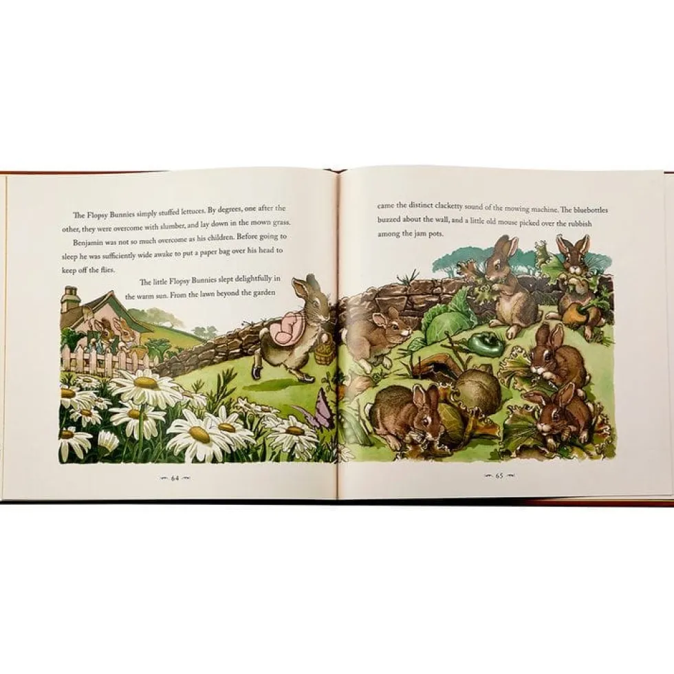 The Classic Tale of Peter Rabbit Book in Tan Bonded Leather