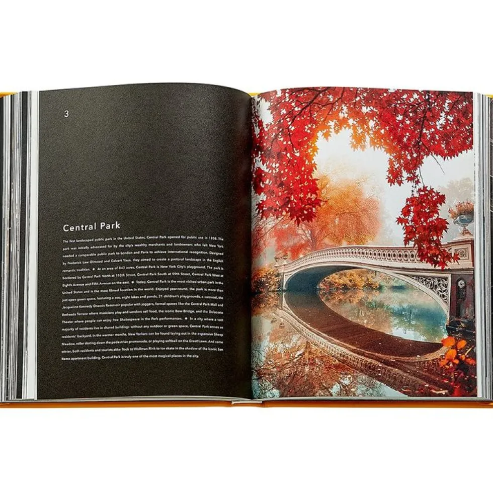 Trope New York Book Leather Edition