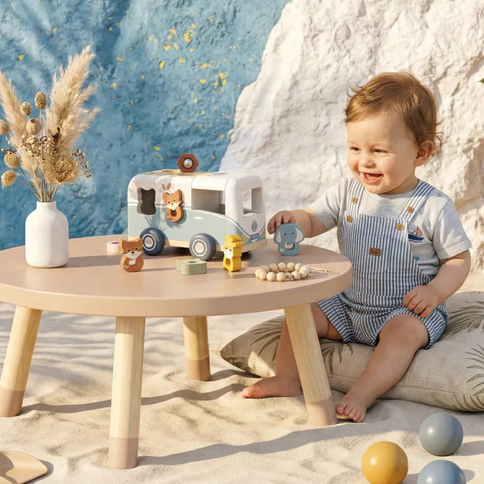 Van Shape Sorter